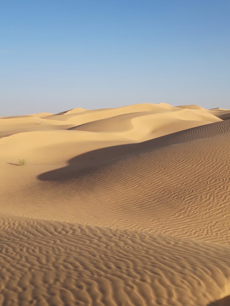 Yoga et Randonnée au Sahara, en Tunisie