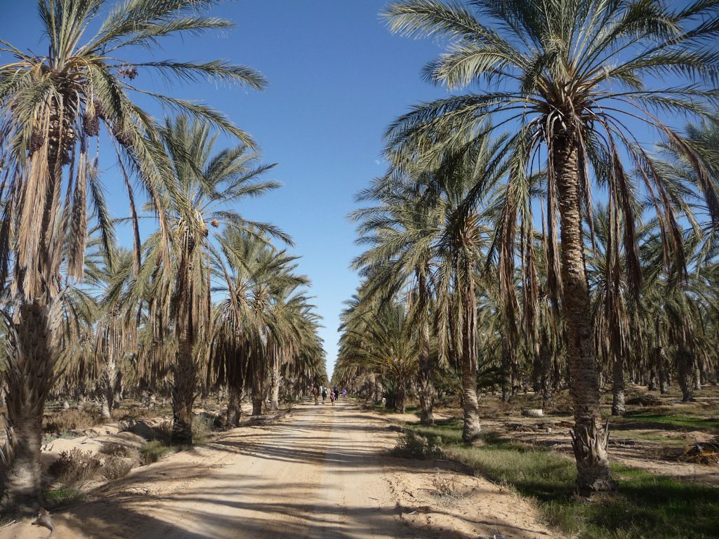 Yoga et Randonnée au Sahara, en Tunisie