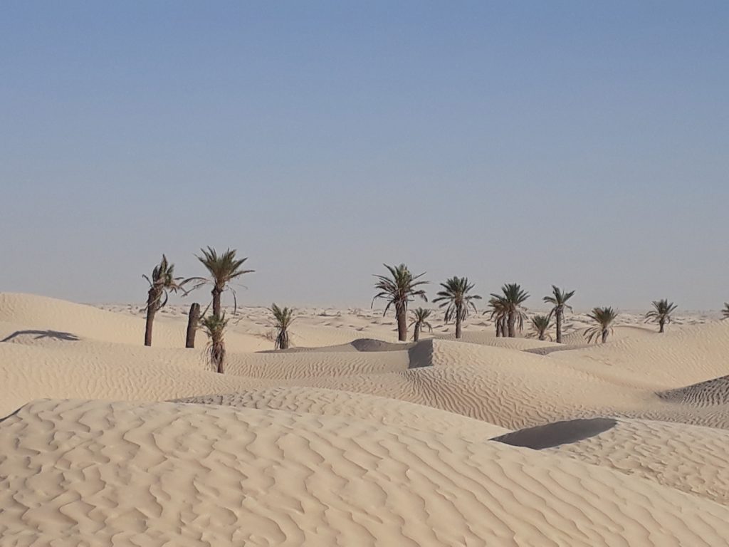 Yoga et Randonnée au Sahara, en Tunisie