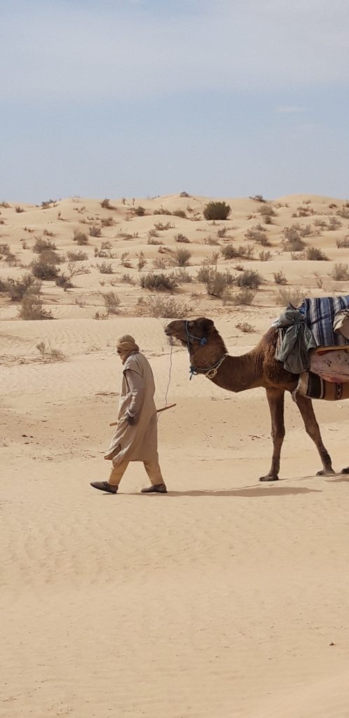 Yoga et Randonnée au Sahara, en Tunisie